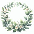 Watercolor wreath with jasmine flowers and green leaves isolated on white background. Royalty Free Stock Photo